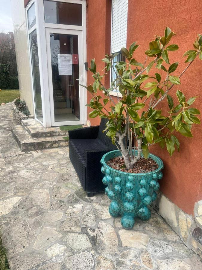Rosehill Garden Family Villa With A Great Budapest View Exterior foto